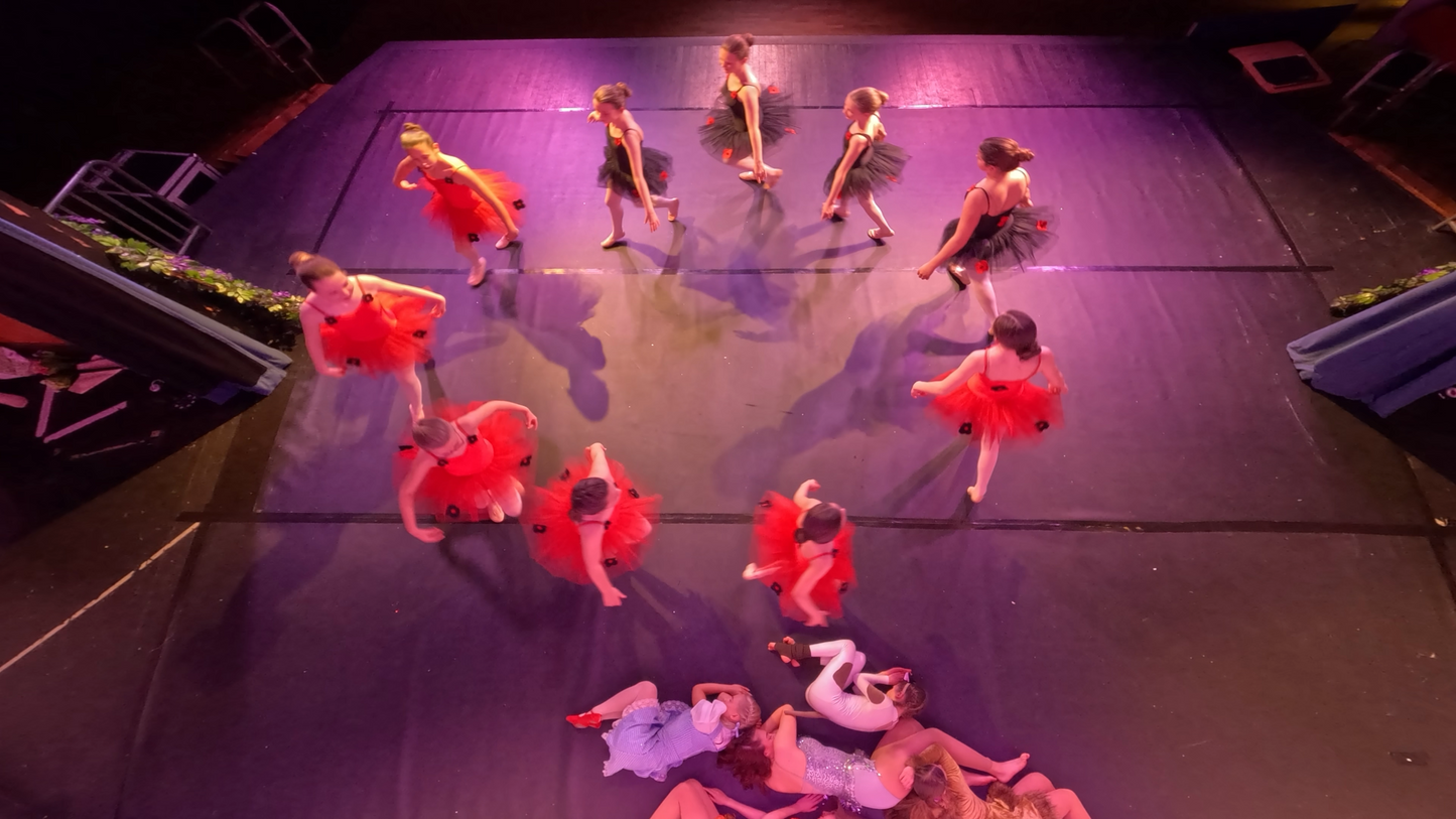 DSD Show 2026 - The Golden Ticket